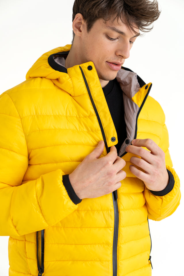 Holiday Jacket