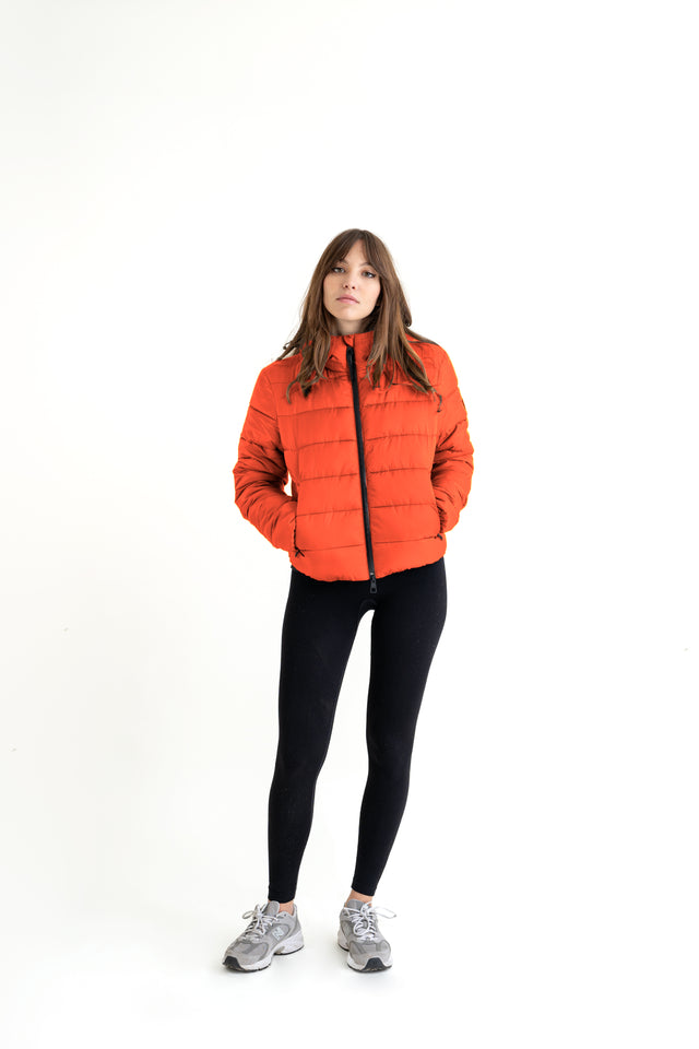 Holiday Jacket