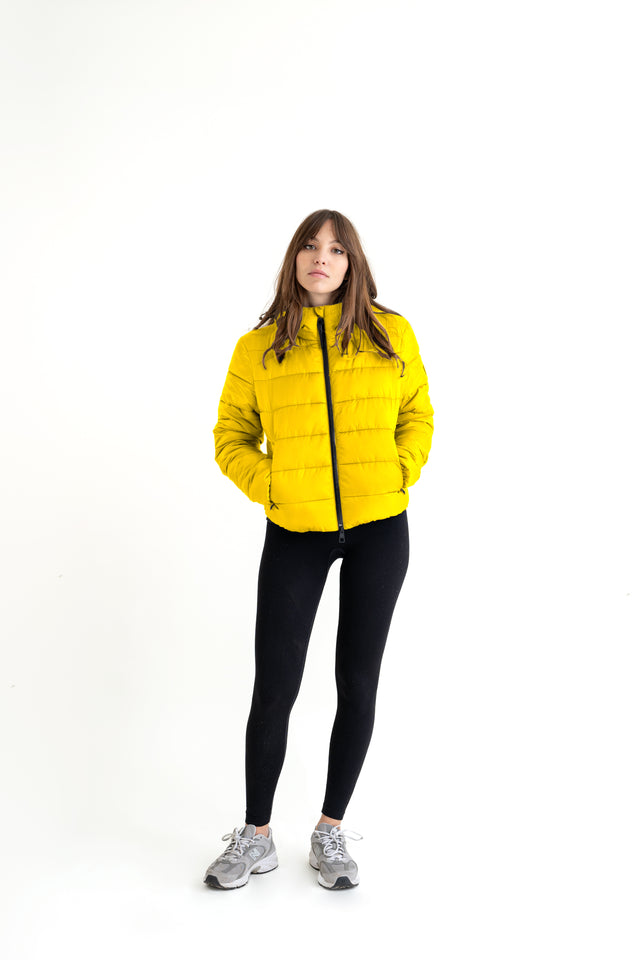 Holiday Jacket